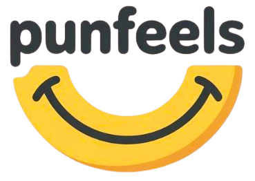 punfeels.com